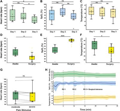 Balanced anesthesia in pigeons (Columba livia): a protocol that ensures stable vital parameters and feasibility during long surgeries in cognitive neuroscience